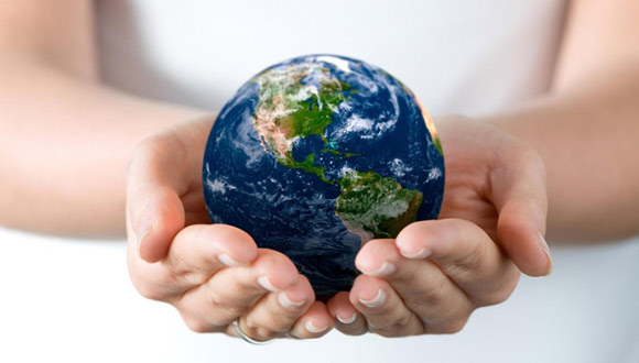 Import & Export Consolidation Services