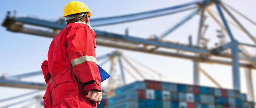 Import, Export Custom Clearance, Brokerage Services Mumbai, India